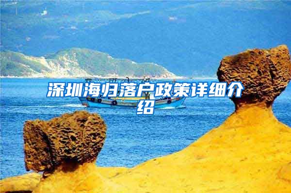 深圳海归落户政策详细介绍