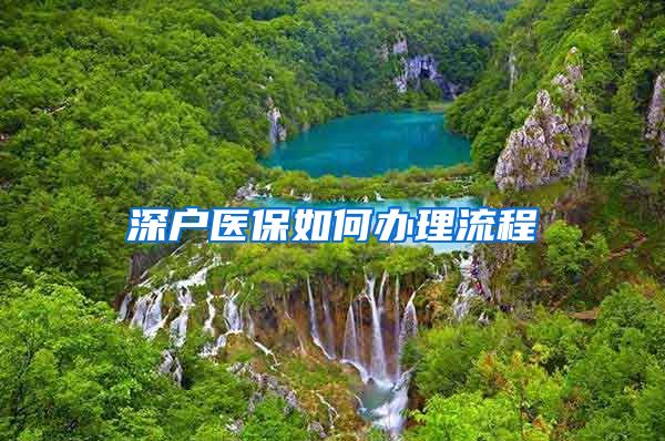 深户医保如何办理流程