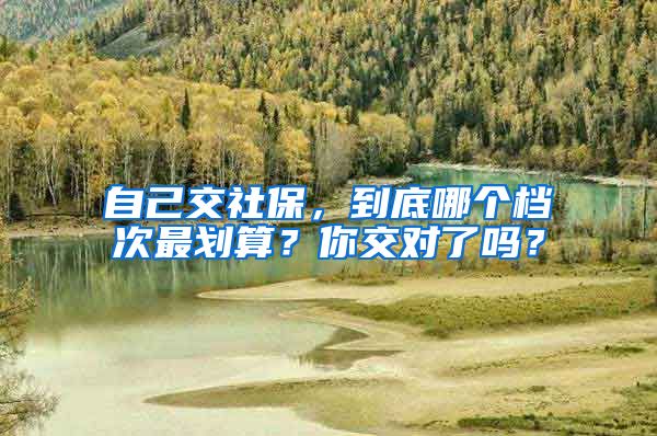 自己交社保，到底哪个档次最划算？你交对了吗？