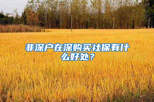 非深户在深购买社保有什么好处？
