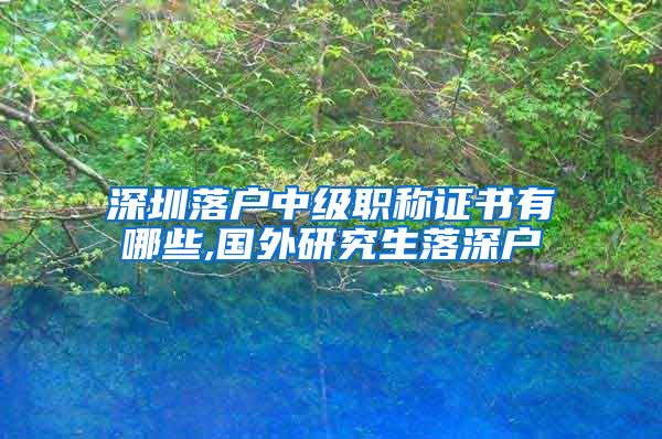 深圳落户中级职称证书有哪些,国外研究生落深户