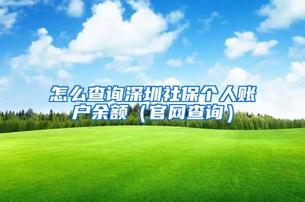 怎么查询深圳社保个人账户余额（官网查询）