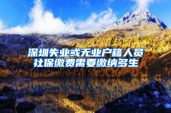 深圳失业或无业户籍人员社保缴费需要缴纳多生
