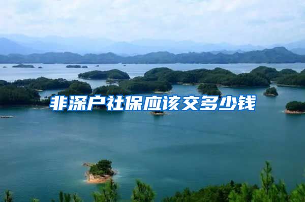 非深户社保应该交多少钱