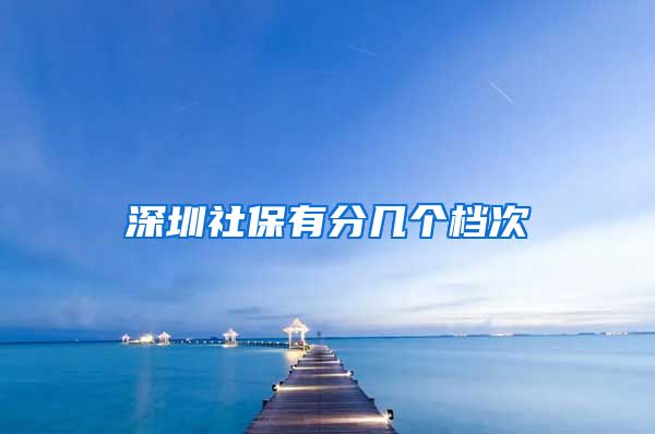 深圳社保有分几个档次
