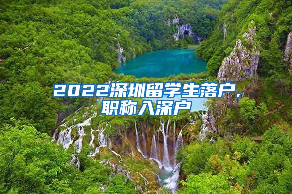 2022深圳留学生落户,职称入深户