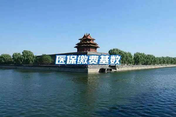 医保缴费基数