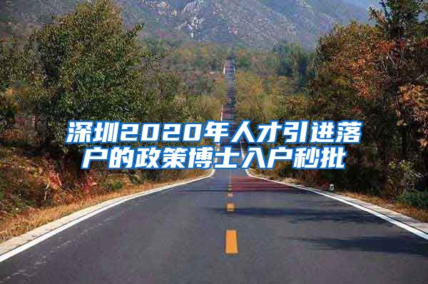 深圳2020年人才引进落户的政策博士入户秒批
