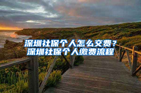 深圳社保个人怎么交费？深圳社保个人缴费流程