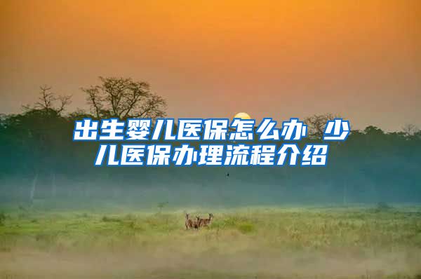 出生婴儿医保怎么办 少儿医保办理流程介绍