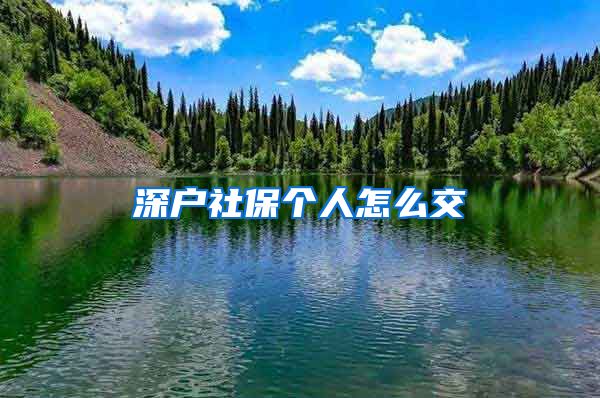 深户社保个人怎么交