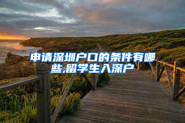 申请深圳户口的条件有哪些,留学生入深户