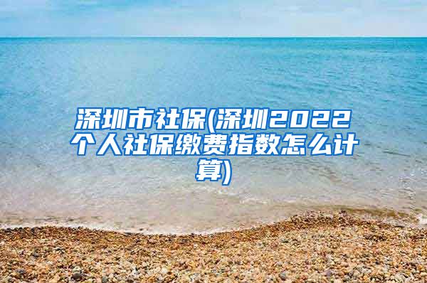深圳市社保(深圳2022个人社保缴费指数怎么计算)