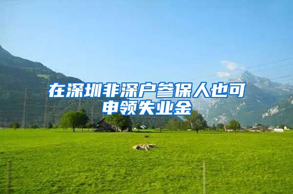 在深圳非深户参保人也可申领失业金