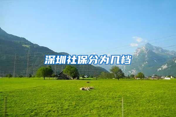 深圳社保分为几档