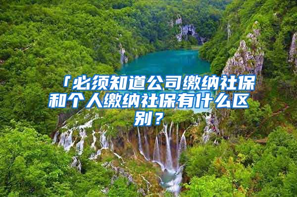 「必须知道公司缴纳社保和个人缴纳社保有什么区别？