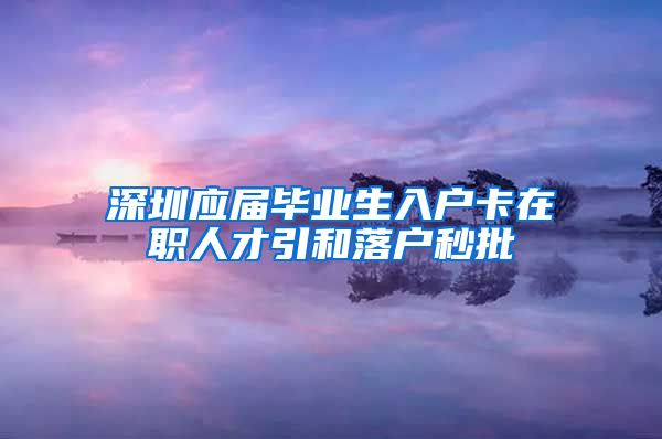 深圳应届毕业生入户卡在职人才引和落户秒批