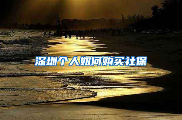 深圳个人如何购买社保