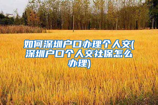 如何深圳户口办理个人交(深圳户口个人交社保怎么办理)