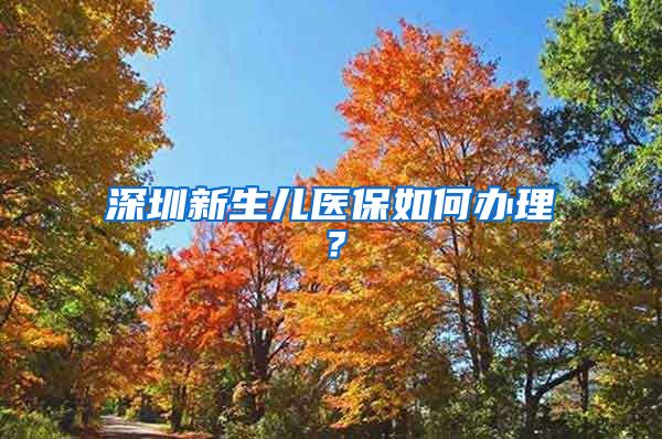 深圳新生儿医保如何办理？