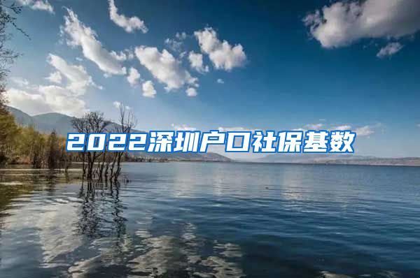 2022深圳户口社保基数