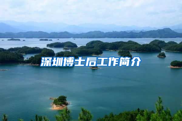 深圳博士后工作简介