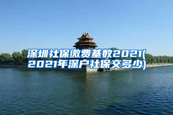 深圳社保缴费基数2021(2021年深户社保交多少)