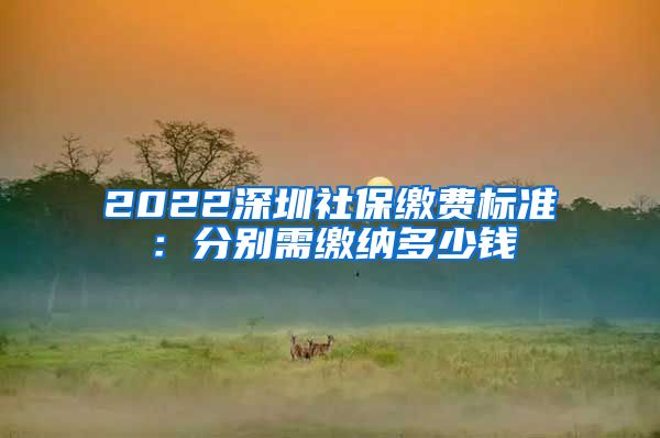 2022深圳社保缴费标准：分别需缴纳多少钱
