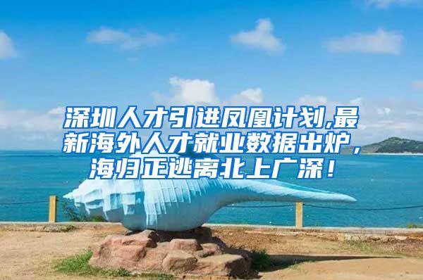 深圳人才引进凤凰计划,最新海外人才就业数据出炉，海归正逃离北上广深！