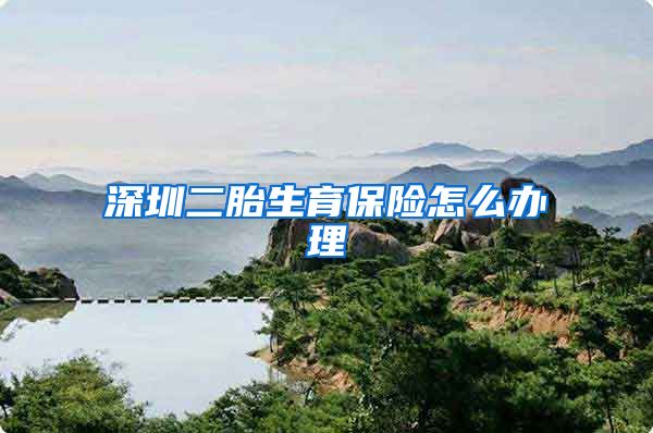 深圳二胎生育保险怎么办理