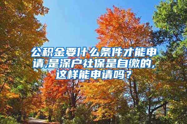 公积金要什么条件才能申请,是深户社保是自缴的,这样能申请吗？