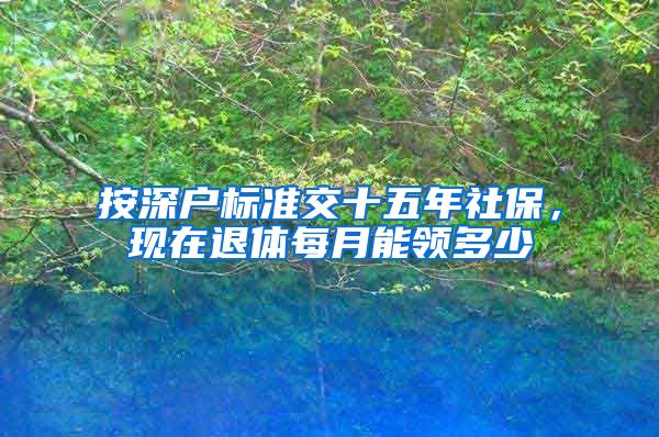 按深户标准交十五年社保，现在退体每月能领多少