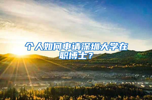 个人如何申请深圳大学在职博士？