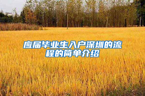 应届毕业生入户深圳的流程的简单介绍