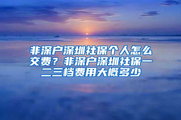 非深户深圳社保个人怎么交费？非深户深圳社保一二三档费用大概多少
