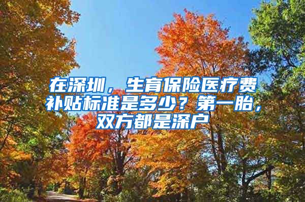 在深圳，生育保险医疗费补贴标准是多少？第一胎，双方都是深户