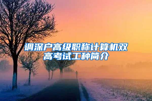 调深户高级职称计算机双高考试工种简介