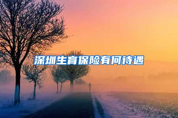 深圳生育保险有何待遇