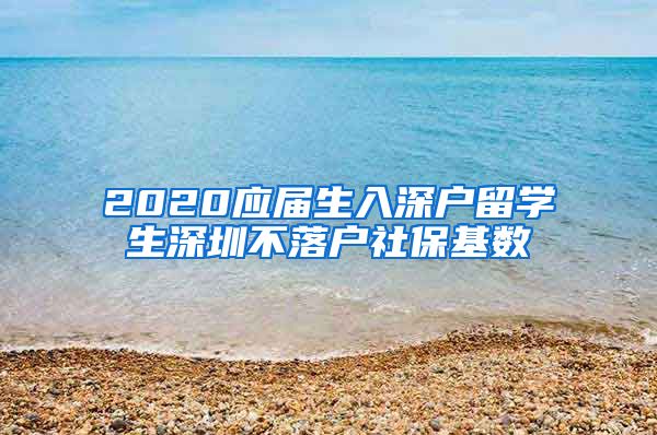 2020应届生入深户留学生深圳不落户社保基数