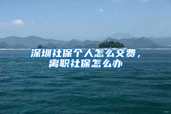 深圳社保个人怎么交费，离职社保怎么办