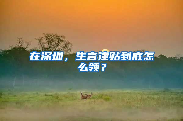 在深圳，生育津贴到底怎么领？