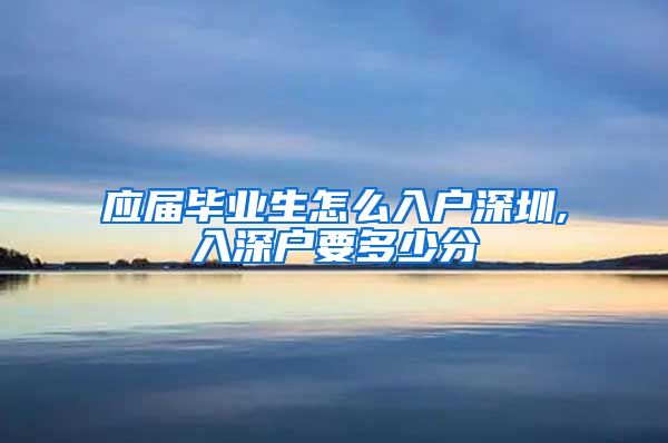 应届毕业生怎么入户深圳,入深户要多少分