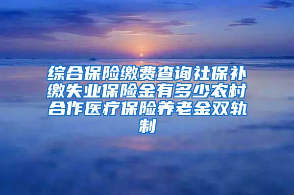 综合保险缴费查询社保补缴失业保险金有多少农村合作医疗保险养老金双轨制