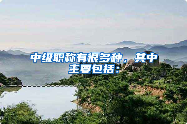 中级职称有很多种，其中主要包括：