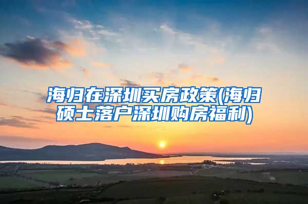 海归在深圳买房政策(海归硕士落户深圳购房福利)