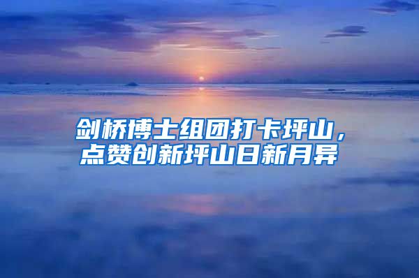 剑桥博士组团打卡坪山，点赞创新坪山日新月异