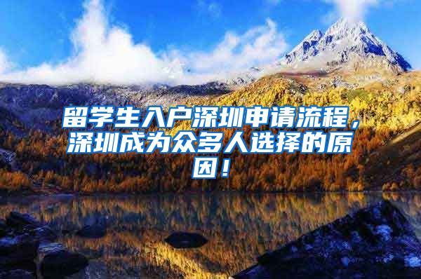 留学生入户深圳申请流程，深圳成为众多人选择的原因！