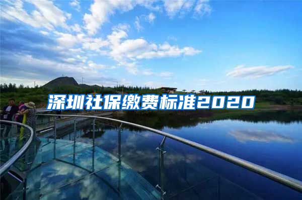 深圳社保缴费标准2020