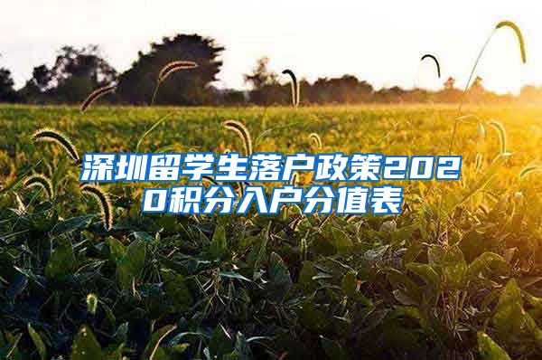 深圳留学生落户政策2020积分入户分值表