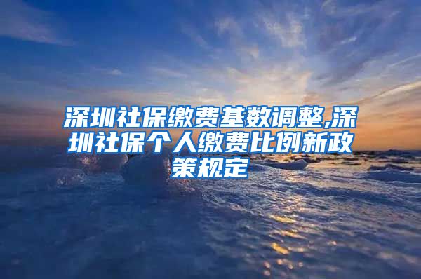 深圳社保缴费基数调整,深圳社保个人缴费比例新政策规定